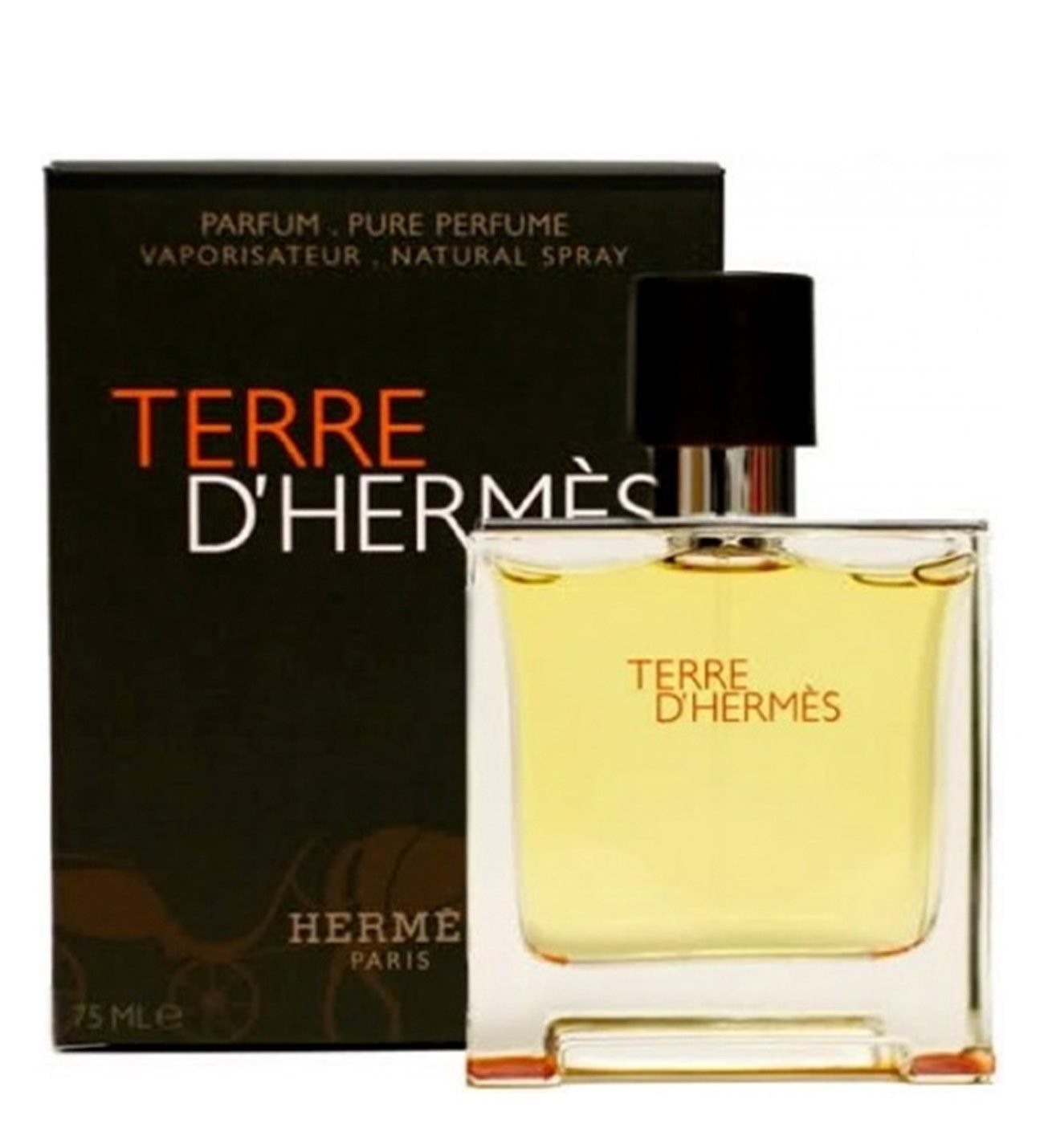 Hermes Terre D Hermes EDP 75 ml Erkek Parfüm