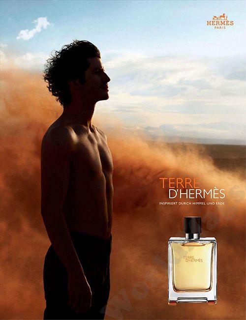 Hermes Terre D'Hermes EDT 100 ml Erkek Parfüm