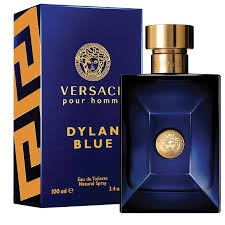 Versace Dylan Blue EDT 100 ml Erkek Parfüm